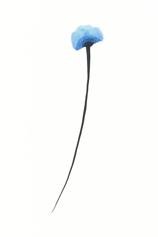 media image for blue poppies iii by bd art gallery lba 52bu0651 gf 4 251