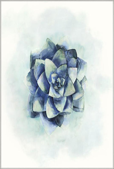 product image for succulent iv by bd art gallery lba 52bu0511 bu fr3008 6 71