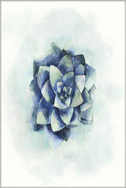 media image for succulent iv by bd art gallery lba 52bu0511 bu fr3008 6 272