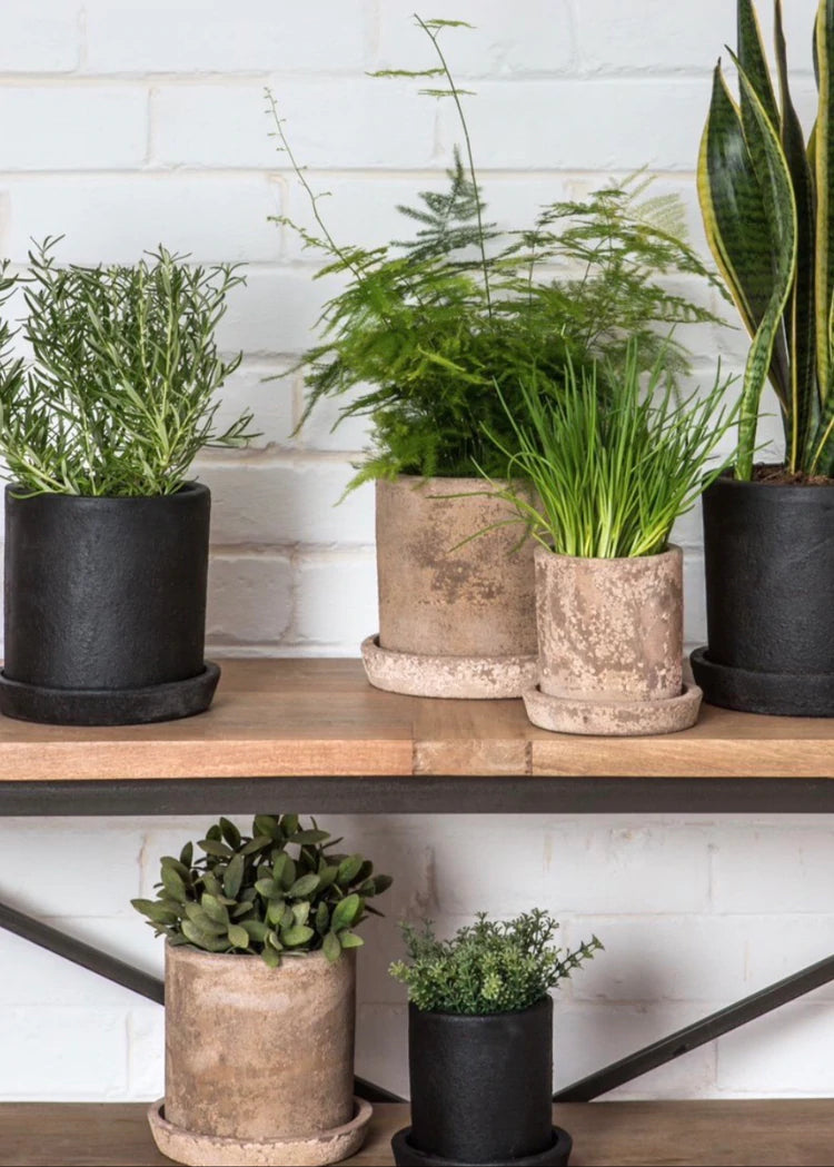 media image for terra planter in coal in various sizes by design by dassie artisan 2 214