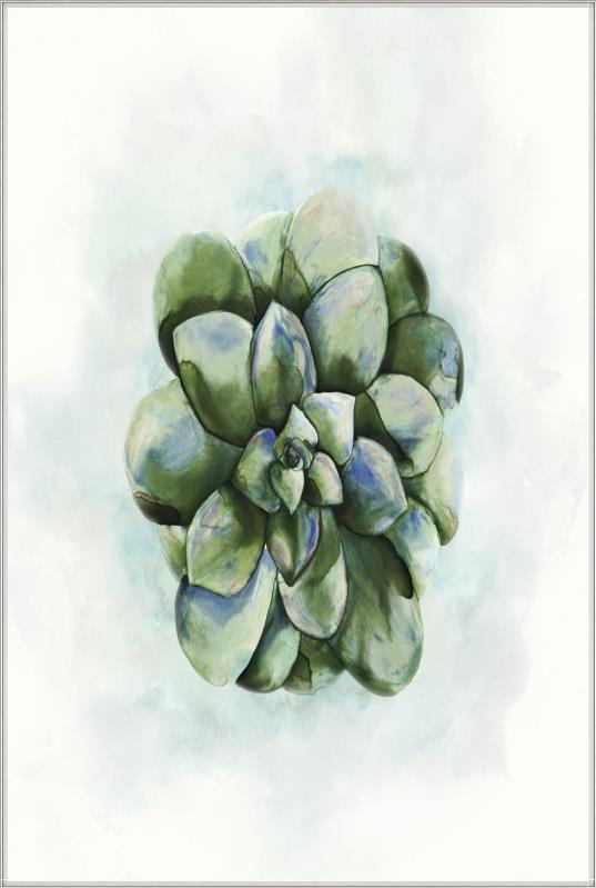 media image for succulent i by bd art gallery lba 52bu0508 bu fr3008 2 27