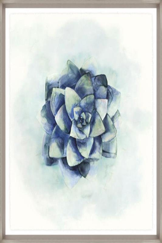 media image for succulent iv by bd art gallery lba 52bu0511 bu fr3008 3 23