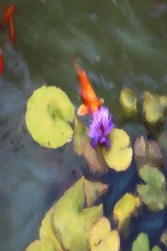 media image for lily koi iii by shopbarclaybutera 6 224