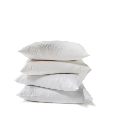 product image for Pillow Inserts 1 55