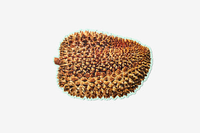 product image for little puzzle thing durian 1 18