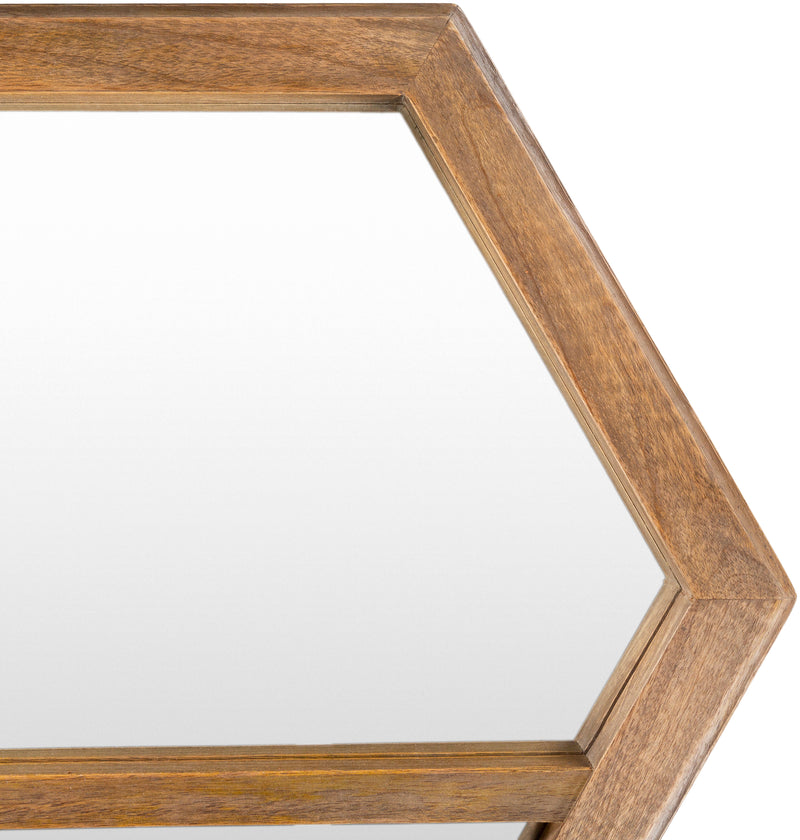 media image for Jorah JOH-001 Mirror in Brown by Surya 270