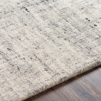 product image for Lucca Wool Light Gray Rug Texture Image 72