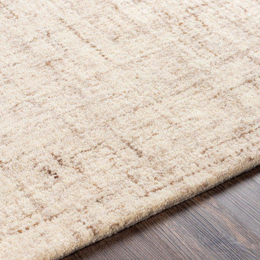 media image for Lucca Wool Tan Rug Texture Image 271