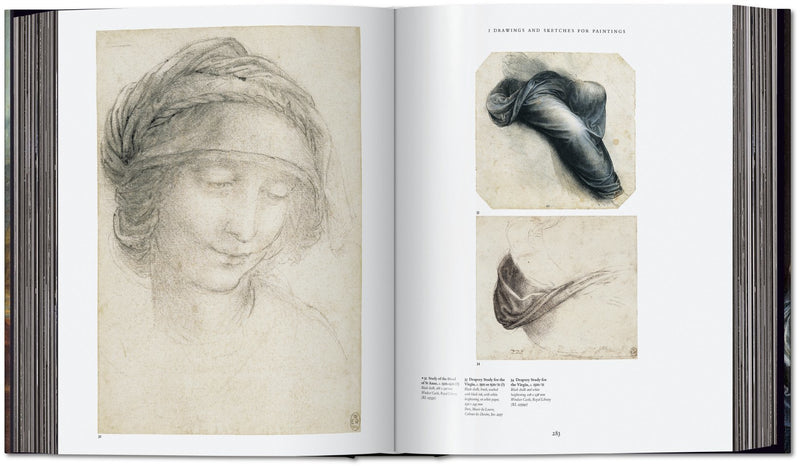media image for leonardo the complete paintings and drawings 12 294