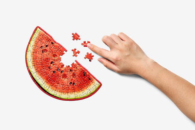 product image for Little Puzzle Thing: Watermelon by Areaware 13