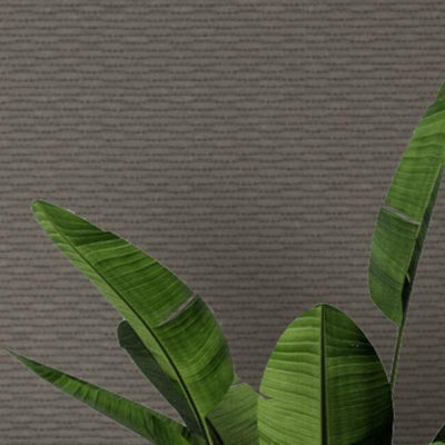 product image for Loma Wallpaper in Dark Wood from the Quietwall Textiles Collection by York Wallcoverings 42