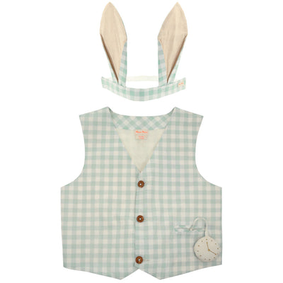 product image for gingham bunny costume by meri meri mm 225873 1 95