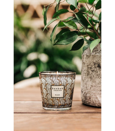 product image for my first baobab brussels max 08 candle by baobab collection 2 70