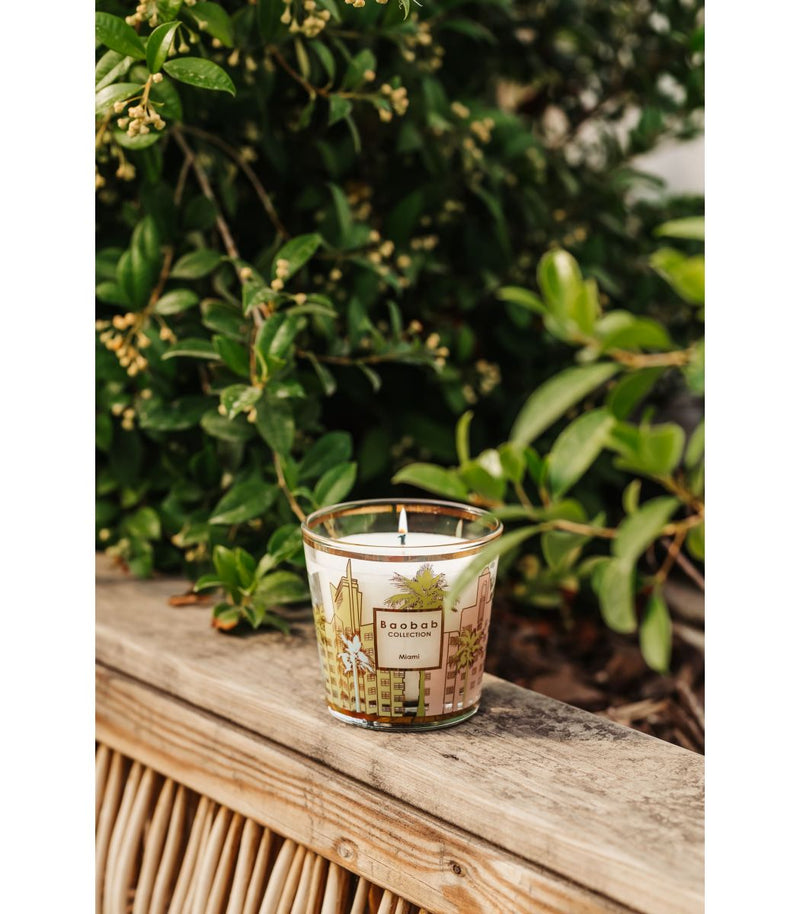 media image for my first baobab miami max 08 candle by baobab collection 2 268