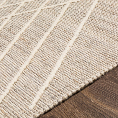 product image for norwood jute grey rug by surya nwd2303 23 4 36