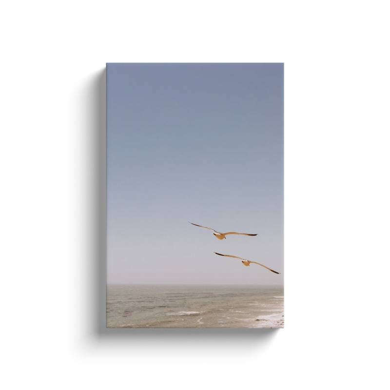 media image for generated-proPreview-0 276