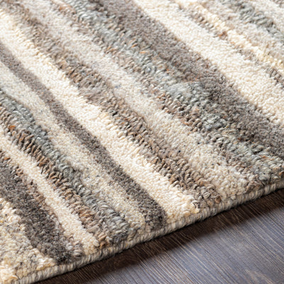 product image for Petra PTR-2300 Hand Woven Rug  51