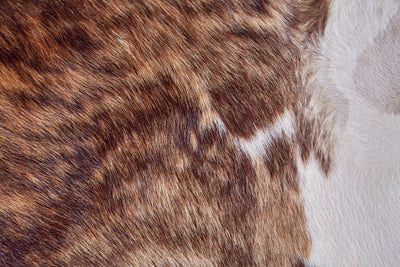 product image for oakdale premium on hair cowhide hand made brindle light brown rug by bd fine argrcowhexolhtq01 2 57