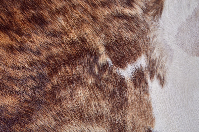 media image for oakdale premium on hair cowhide hand made brindle light brown rug by bd fine argrcowhexolhtq01 2 221