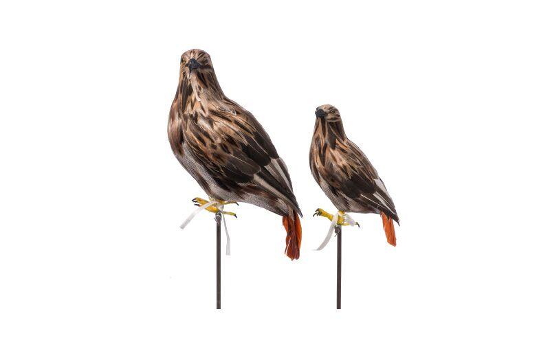 media image for eagle small design by puebco 4 258