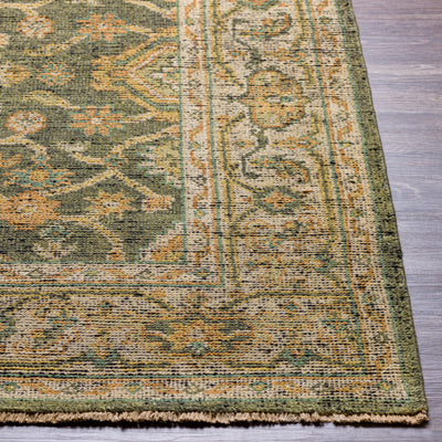 product image for Reign Nz Wool Sage Rug Front Image 25