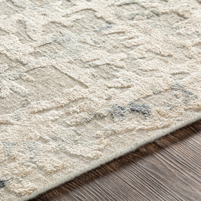 product image for Resham Silk Light Gray Rug Texture Image 8