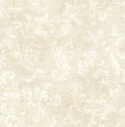 product image of Classic Scroll Wallpaper in Beige 565