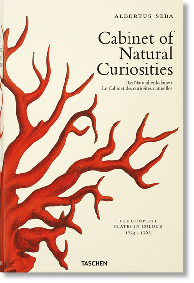 product image for seba cabinet of natural curiosities 1 42