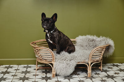 product image for iriri dog bed by ladron dk 2 31