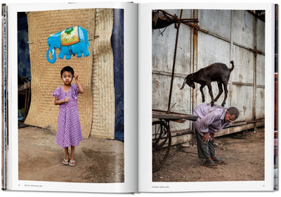 product image for steve mccurry animals 3 90