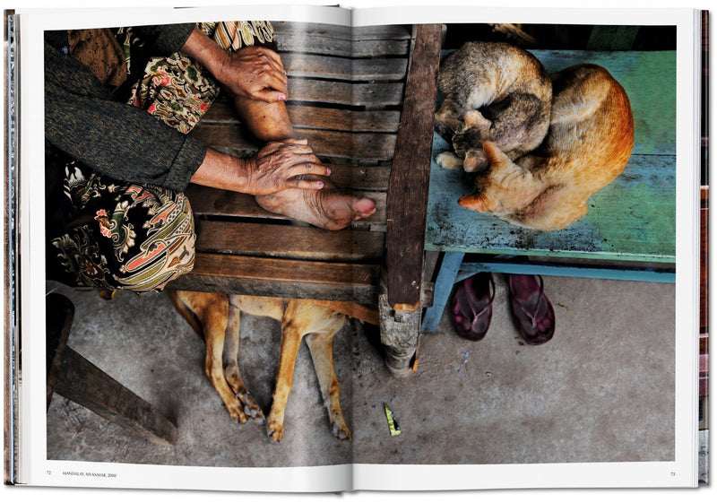 media image for steve mccurry animals 5 24