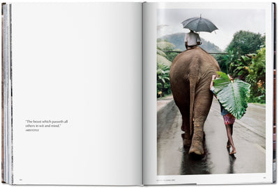 product image for steve mccurry animals 8 33