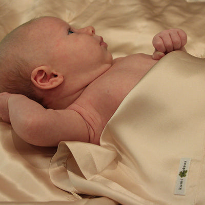 product image for swaddle blanket 2 95