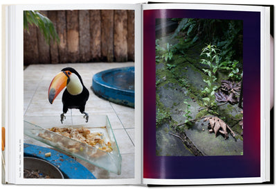product image for wolfgang tillmans four books 40th anniversary edition 12 97