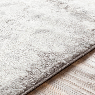 product image for Venice Medium Gray Rug Texture Image 17