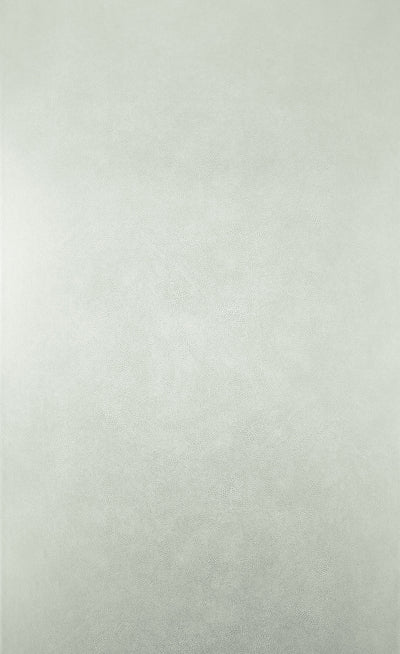 product image for Mako Wallpaper in pale gray from the Komodo Collection by Osborne & Little 18