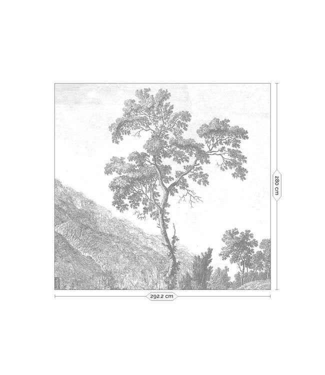 media image for Engraved Landscapes No. 2 Wall Mural by KEK Amsterdam 251
