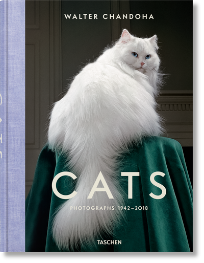 product image for walter chandoha cats photographs 1942 2019 1 60