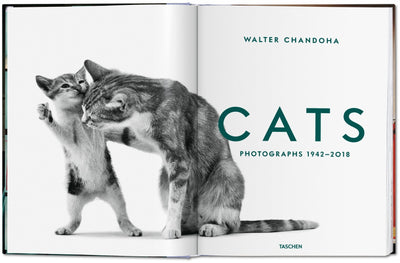 product image for walter chandoha cats photographs 1942 2019 2 2