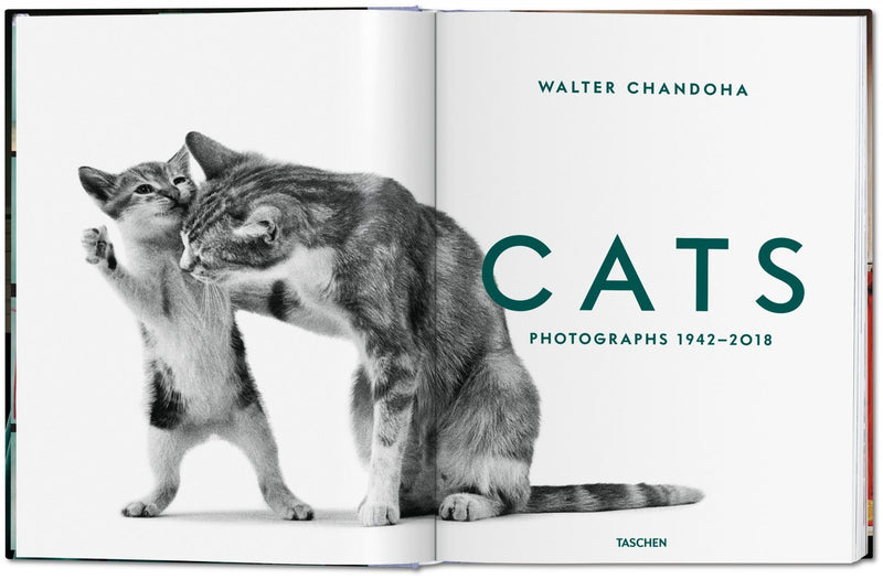 media image for walter chandoha cats photographs 1942 2019 2 221