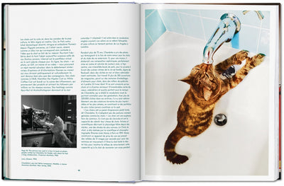 product image for walter chandoha cats photographs 1942 2019 8 79