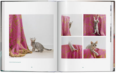 product image for walter chandoha cats photographs 1942 2019 11 97