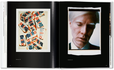 product image for andy warhol polaroids 1958 1987 7 49
