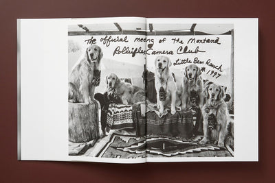 product image for bruce weber the golden retriever photographic society 13 14
