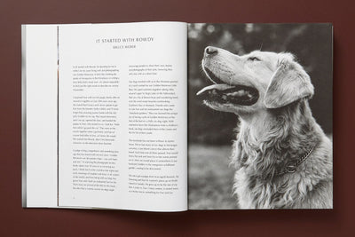 product image for bruce weber the golden retriever photographic society 11 41