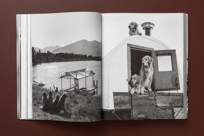 product image for bruce weber the golden retriever photographic society 8 35