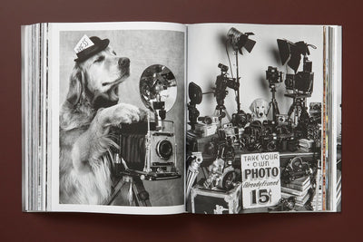 product image for bruce weber the golden retriever photographic society 3 76