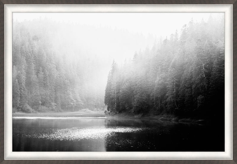 media image for mountain lake fog 1 22