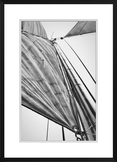 product image of high sea sails 3 1 554