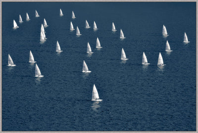 product image of morning sun regatta 1 558